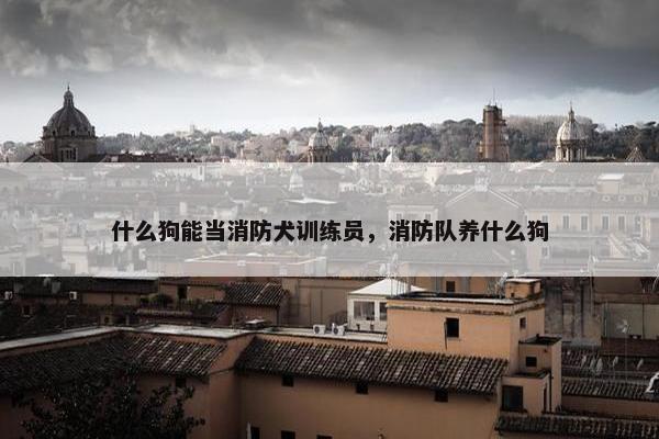 什么狗能当消防犬训练员，消防队养什么狗