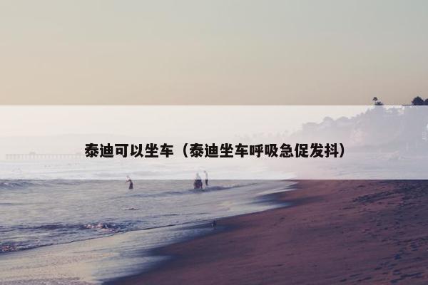 泰迪可以坐车（泰迪坐车呼吸急促发抖）