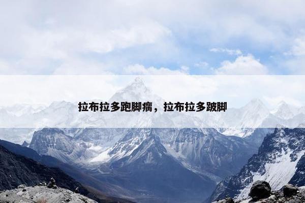 拉布拉多跑脚瘸，拉布拉多跛脚
