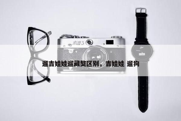 遛吉娃娃遛藏獒区别，吉娃娃 遛狗