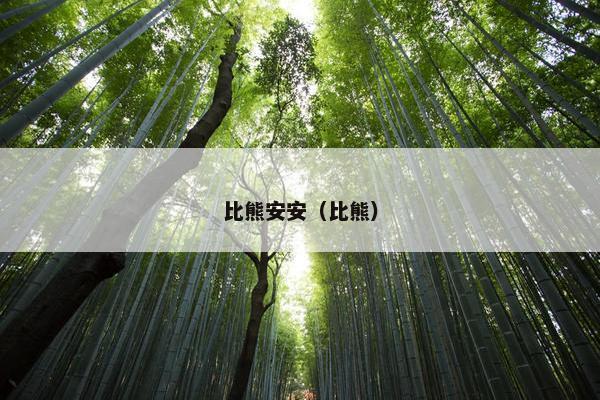 比熊安安（比熊）