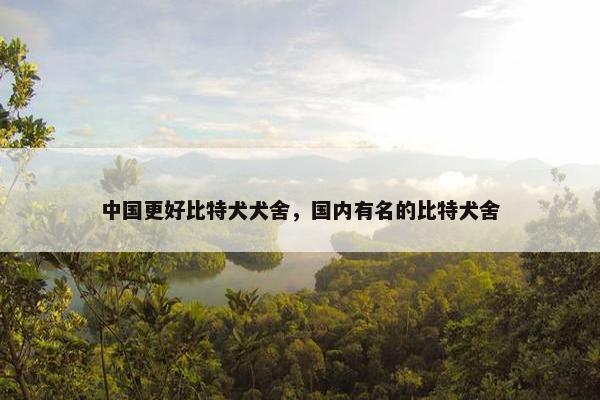 中国更好比特犬犬舍，国内有名的比特犬舍