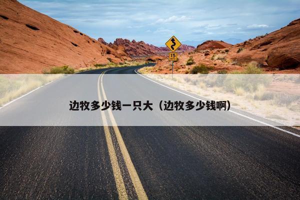 边牧多少钱一只大（边牧多少钱啊）