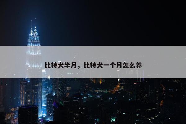 比特犬半月，比特犬一个月怎么养