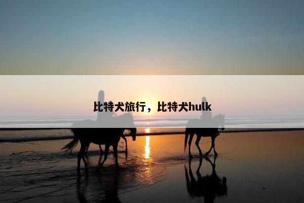 比特犬旅行，比特犬hulk