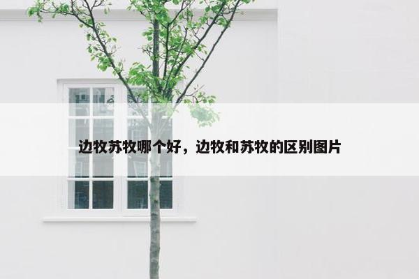 边牧苏牧哪个好，边牧和苏牧的区别图片