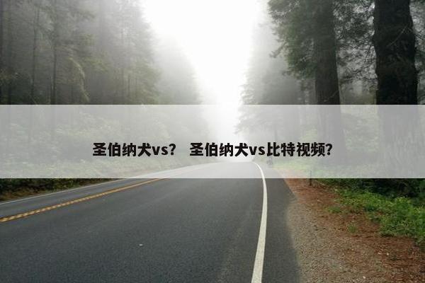 圣伯纳犬vs？ 圣伯纳犬vs比特视频？