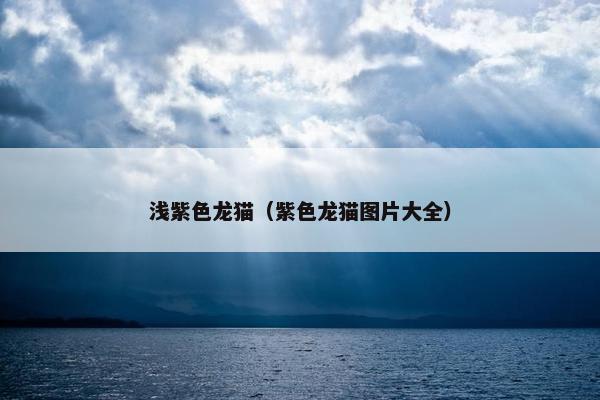 浅紫色龙猫（紫色龙猫图片大全）