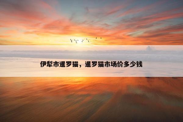 伊犁市暹罗猫，暹罗猫市场价多少钱