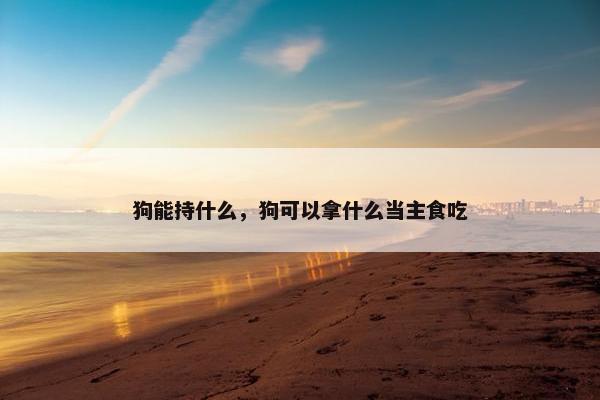 狗能持什么，狗可以拿什么当主食吃