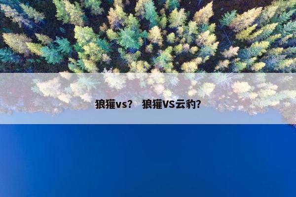 狼獾vs？ 狼獾VS云豹？
