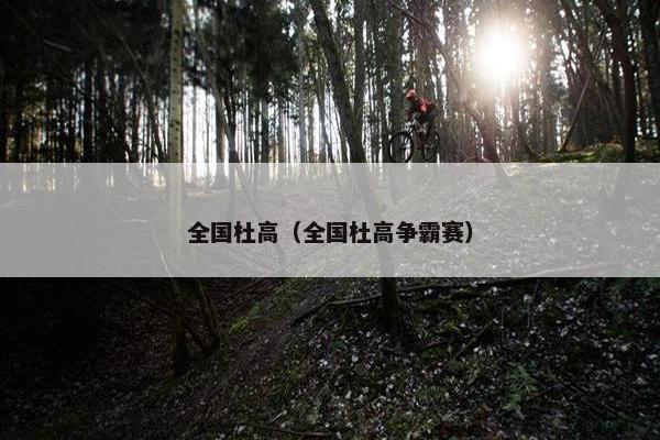 全国杜高（全国杜高争霸赛）