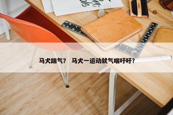 马犬踹气？ 马犬一运动就气喘吁吁？