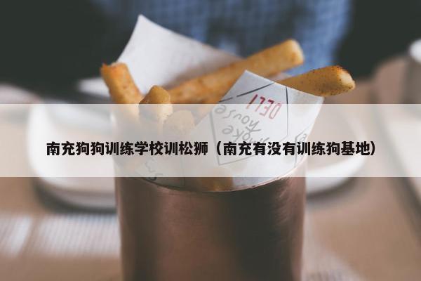 南充狗狗训练学校训松狮（南充有没有训练狗基地）