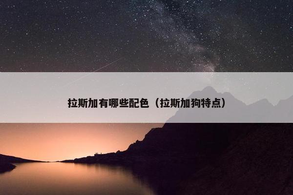 拉斯加有哪些配色（拉斯加狗特点）