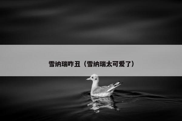 雪纳瑞咋丑（雪纳瑞太可爱了）