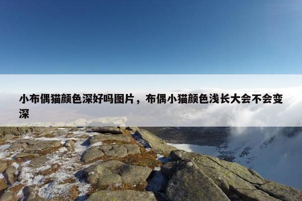 小布偶猫颜色深好吗图片，布偶小猫颜色浅长大会不会变深