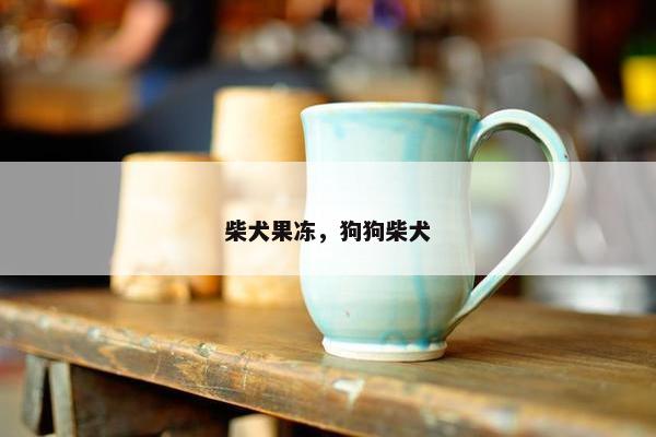 柴犬果冻，狗狗柴犬