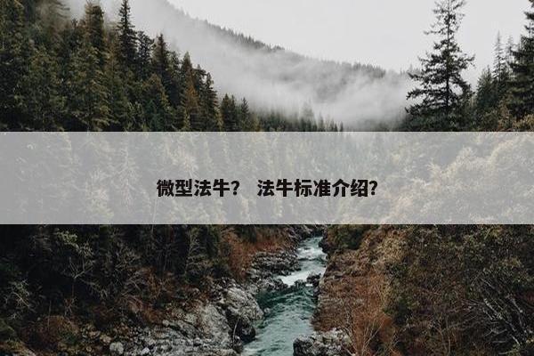 微型法牛？ 法牛标准介绍？