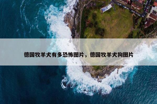 德国牧羊犬有多恐怖图片，德国牧羊犬狗图片