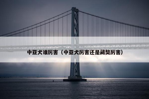 中亚犬谁厉害（中亚犬厉害还是藏獒厉害）