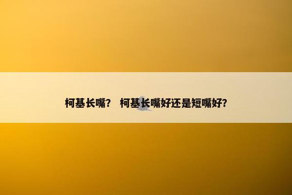 柯基长嘴？ 柯基长嘴好还是短嘴好？