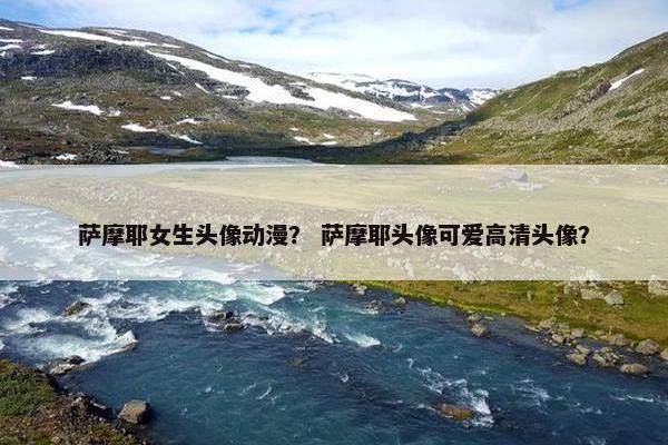 萨摩耶女生头像动漫？ 萨摩耶头像可爱高清头像？
