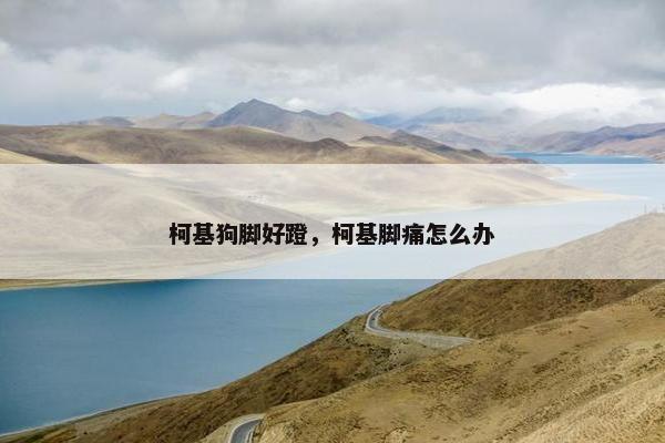 柯基狗脚好蹬，柯基脚痛怎么办