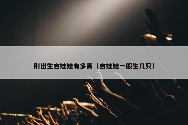 刚出生吉娃娃有多高（吉娃娃一般生几只）