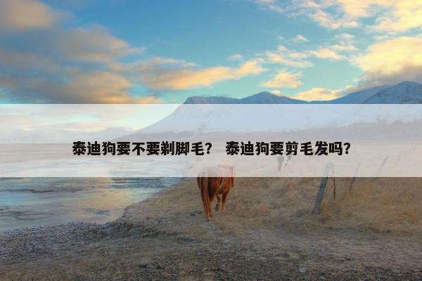 泰迪狗要不要剃脚毛？ 泰迪狗要剪毛发吗？