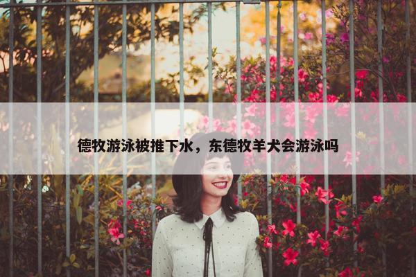 德牧游泳被推下水，东德牧羊犬会游泳吗