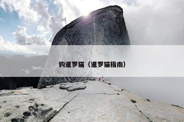 钩暹罗猫（暹罗猫指南）
