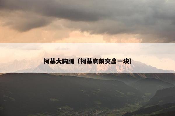 柯基大胸脯（柯基胸前突出一块）