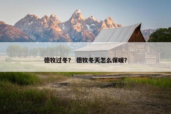 德牧过冬？ 德牧冬天怎么保暖？