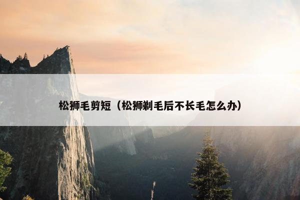 松狮毛剪短（松狮剃毛后不长毛怎么办）