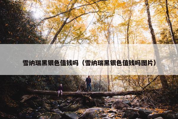 雪纳瑞黑银色值钱吗（雪纳瑞黑银色值钱吗图片）