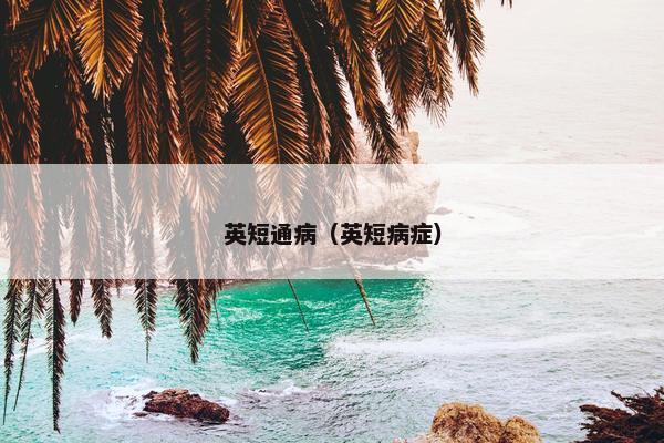 英短通病（英短病症）