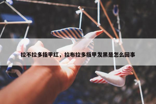 拉不拉多指甲红，拉布拉多指甲发黑是怎么回事