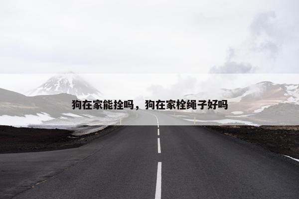 狗在家能拴吗，狗在家栓绳子好吗