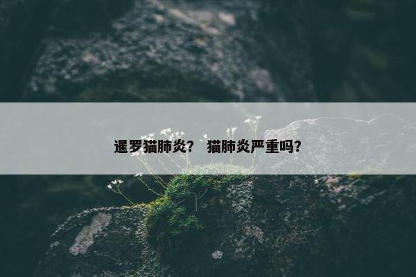 暹罗猫肺炎？ 猫肺炎严重吗？