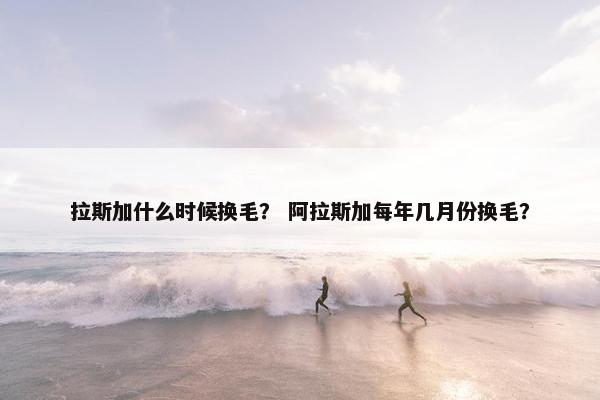 拉斯加什么时候换毛？ 阿拉斯加每年几月份换毛？