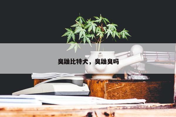 臭鼬比特犬，臭鼬臭吗