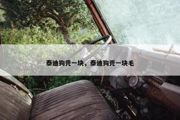 泰迪狗秃一块，泰迪狗秃一块毛