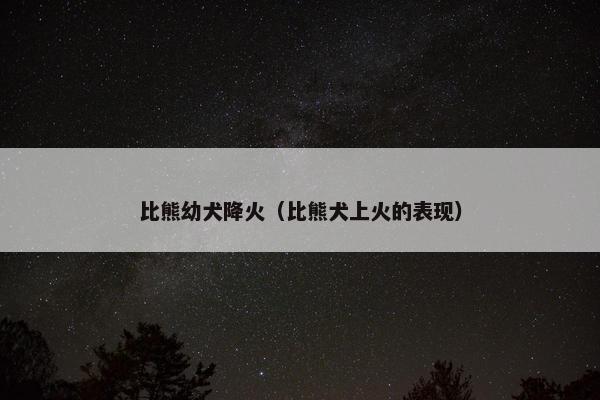 比熊幼犬降火（比熊犬上火的表现）