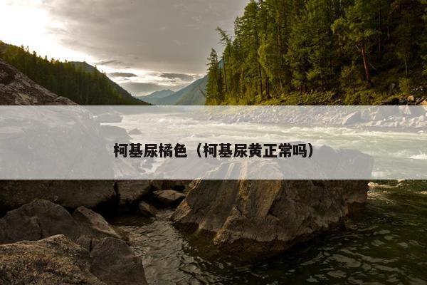 柯基尿橘色（柯基尿黄正常吗）
