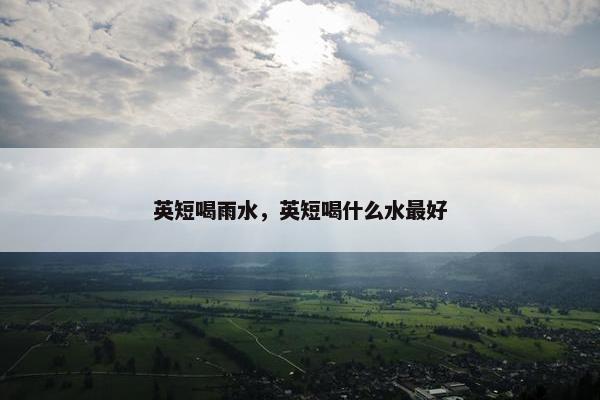 英短喝雨水，英短喝什么水最好