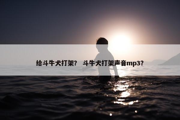 给斗牛犬打架？ 斗牛犬打架声音mp3？