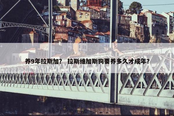 养9年拉斯加？ 拉斯维加斯狗要养多久才成年？