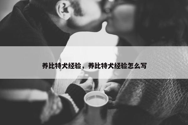 养比特犬经验，养比特犬经验怎么写