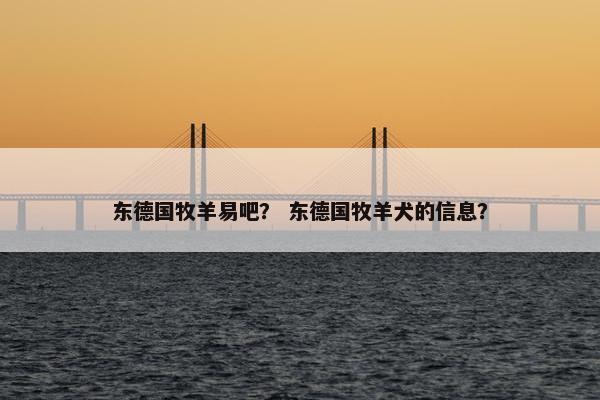 东德国牧羊易吧？ 东德国牧羊犬的信息？